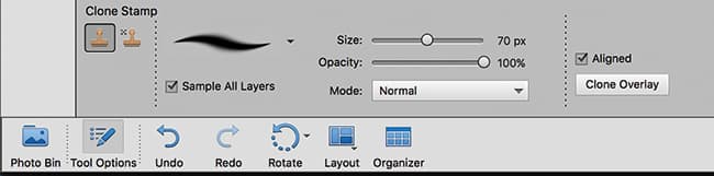 Photoshop Elements Clone Stamp tool