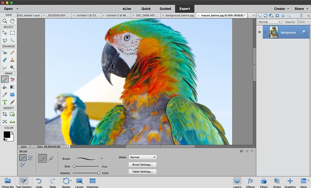 Photoshop Elements Expert Mode