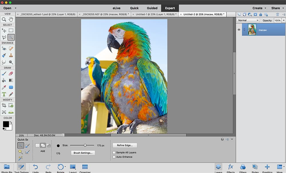 Photoshop Elements Making Selections