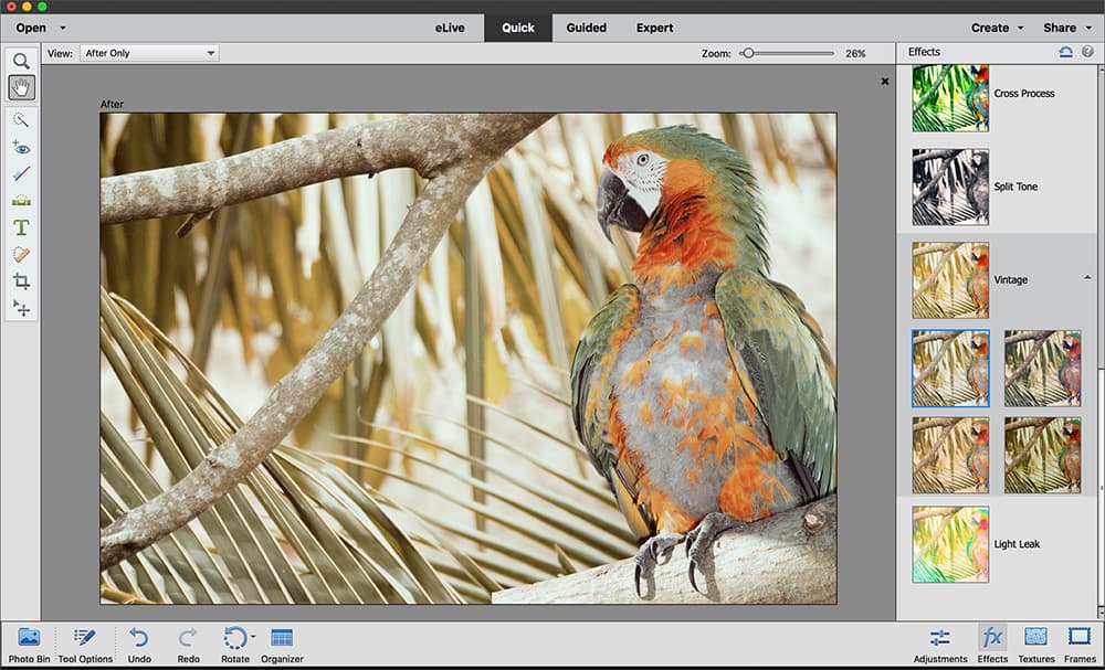 Photoshop Elements effects