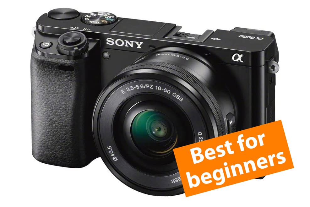 The best cameras for beginners in 2023 - Amateur Photographer