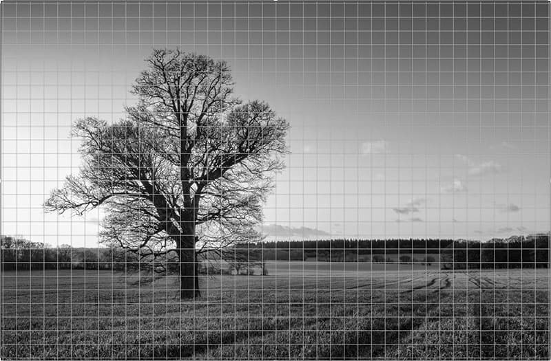 Lighroom crop tool grid overlay