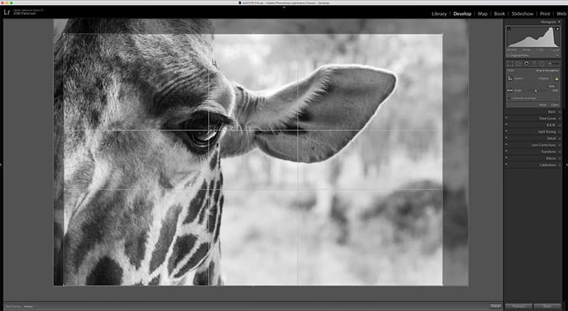 Lightroom crop tool quick start cropping