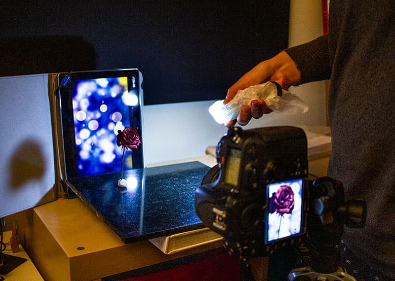 Light Box Set up for video and photography 