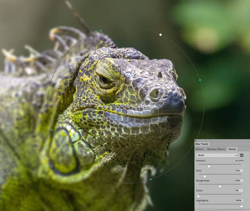How to add lens-blurring effects using Photoshop - Amateur Photographer