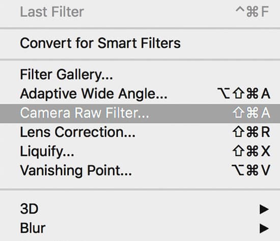 Camera raw filter single layer