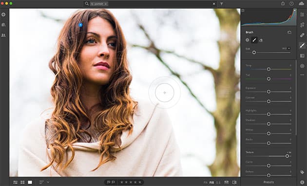 Lightroom hair