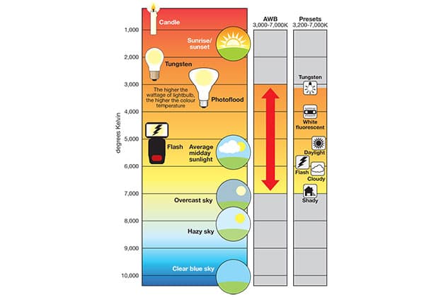 White balance temperature scale