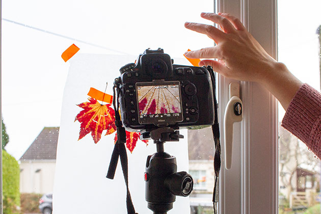 Make own light box