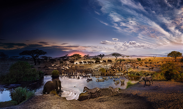 Day to Night Serengeti