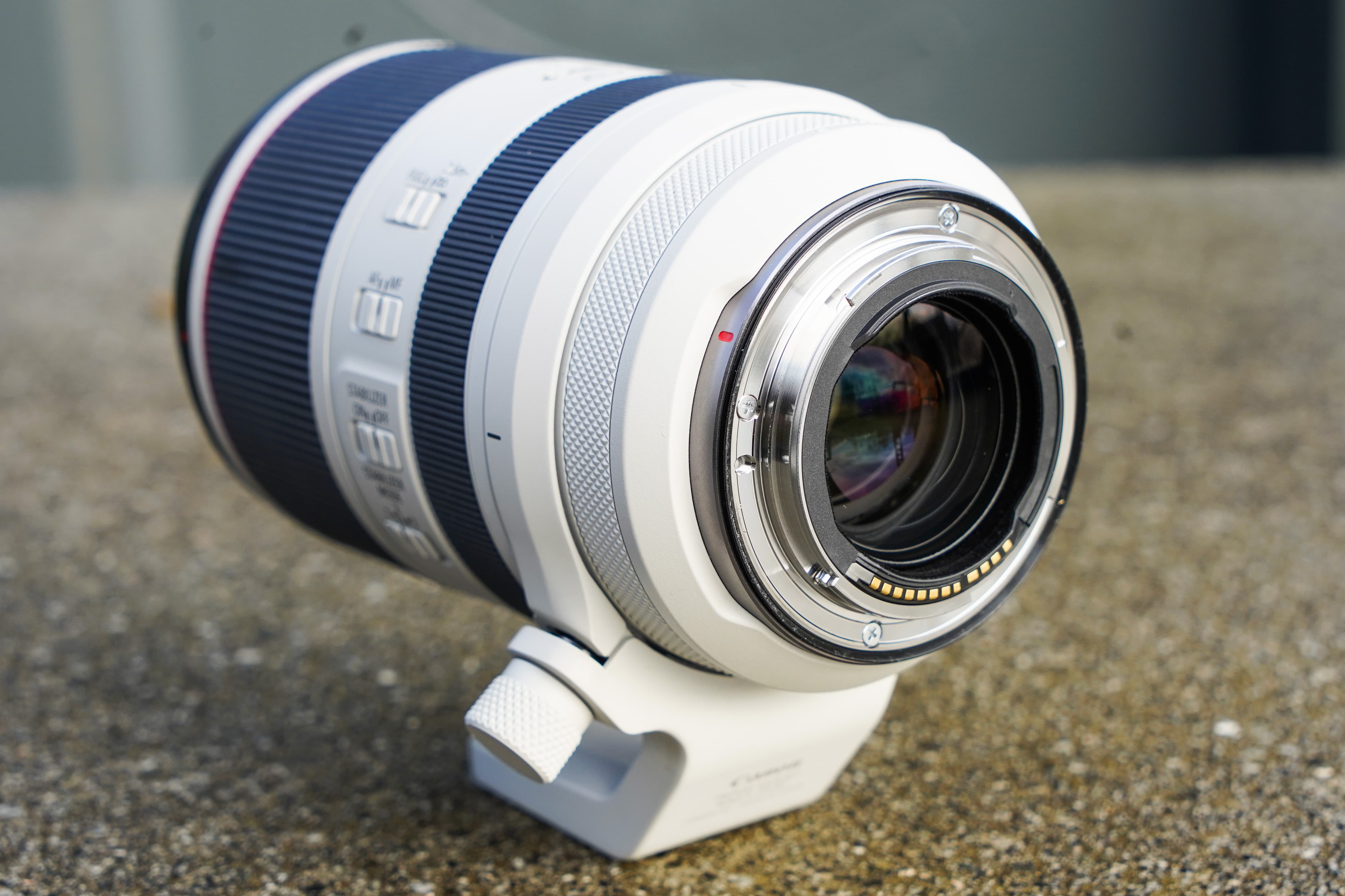 Canon RF 70-200mm F2.8L IS USM review | Amateur Photographer