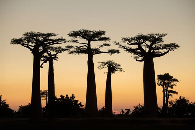 Madagascar - photography destinations