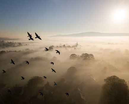 British Wildlife Photography Awards 10 Habitat winner
