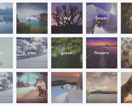 Flickr genres