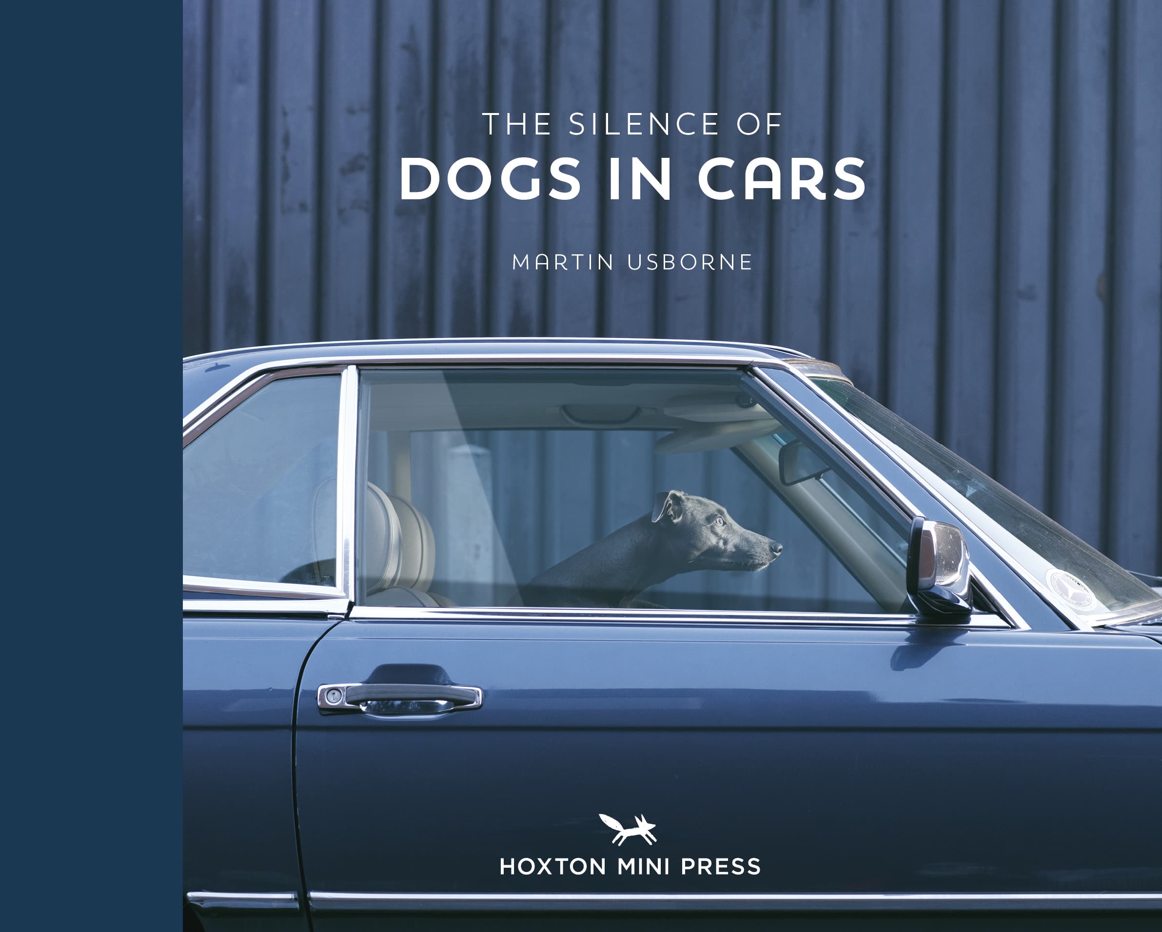 Dogs in Cars by Martin Usborne