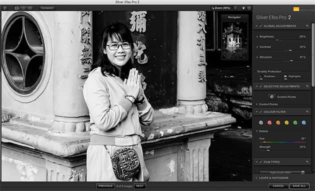 Silver Efex Pro global adjustments