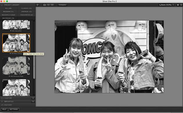 Silver Efex Pro presets