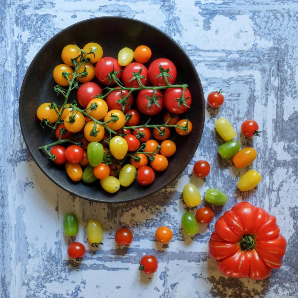 Still life, cocktail tomato varieties in a black bowl, set on a rustic grey tabletop.