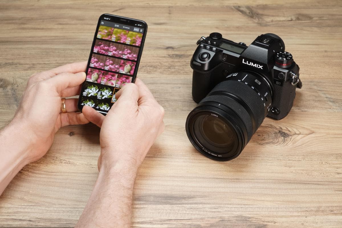 Panasonic Lumix Sync: How to connect your camera to your phone | Amateur  Photographer