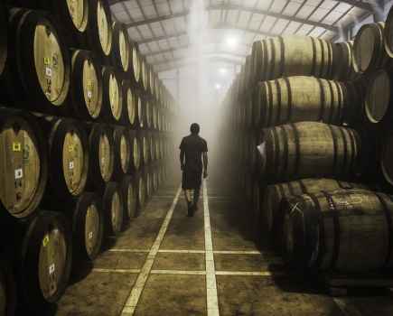 A man walking down a misty alley between wooden barrels of sherry