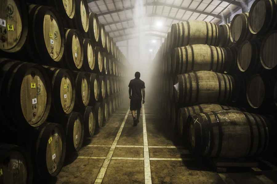 A man walking down a misty alley between wooden barrels of sherry