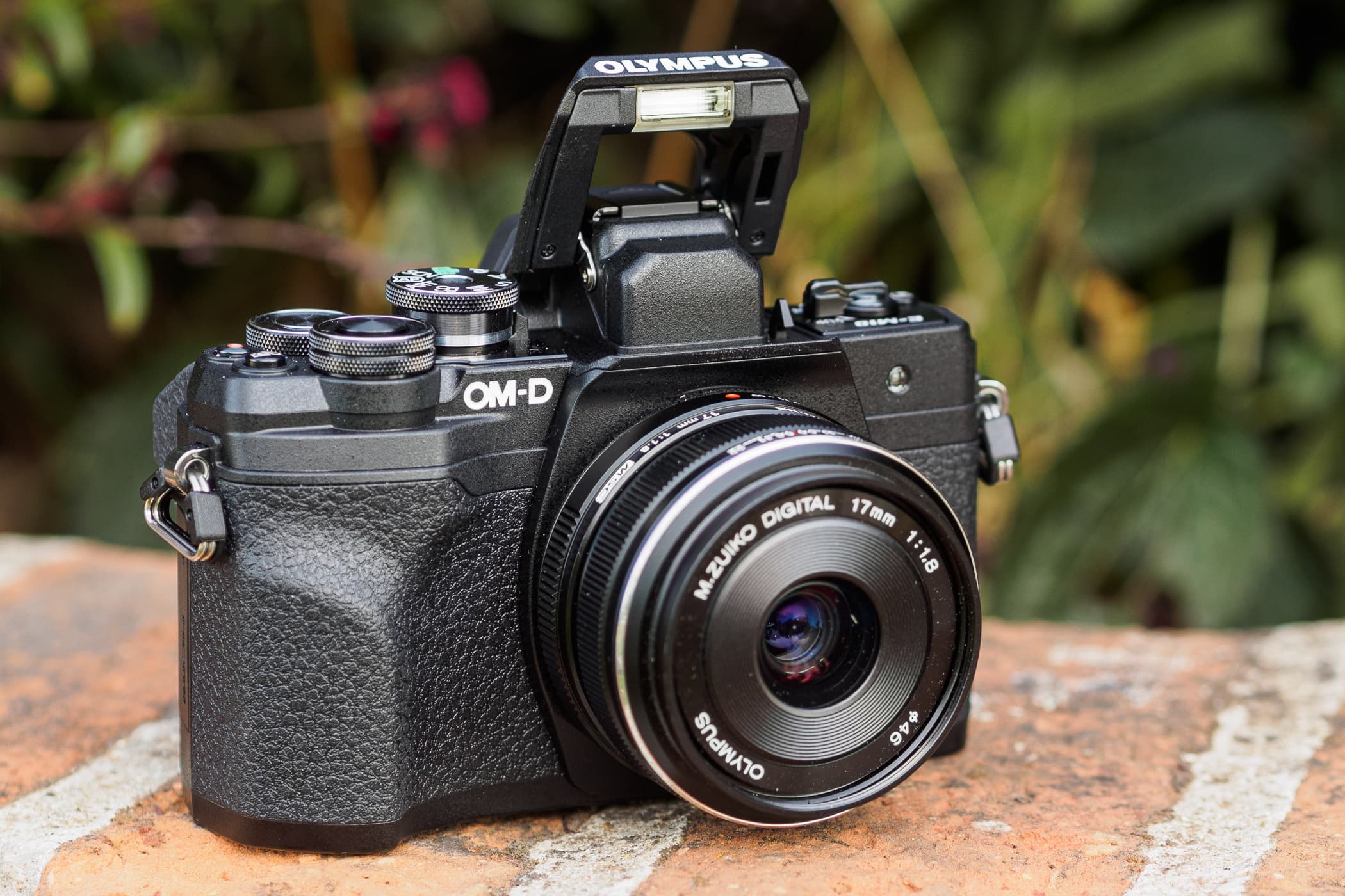 The best cameras for beginners in 2024 | Amateur Photographer