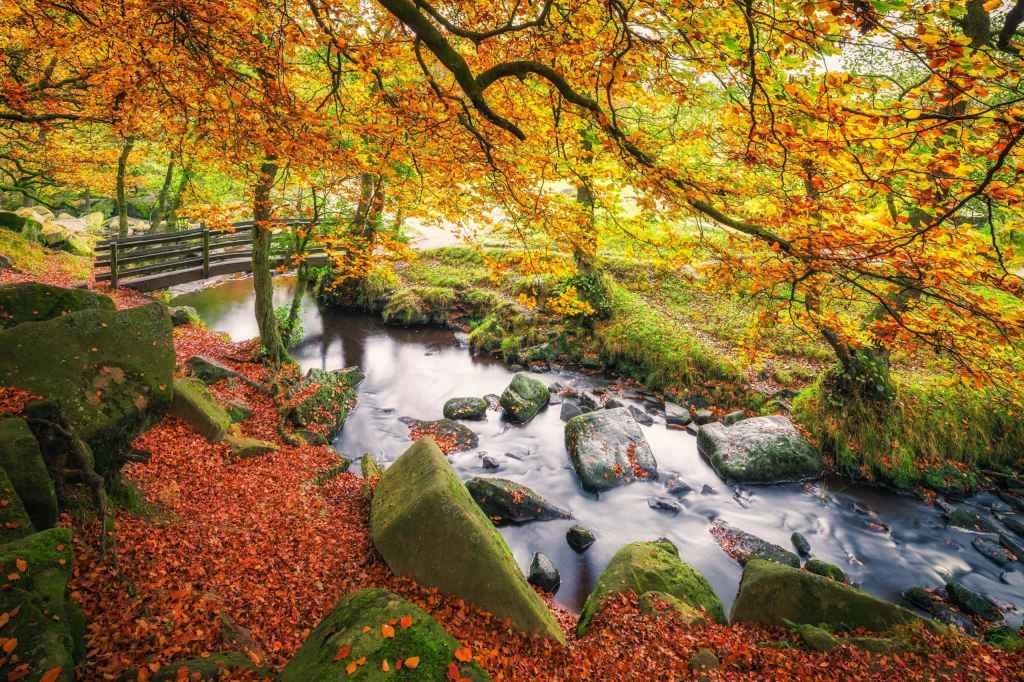 The UK's best landscape photography locations Padley Gorge