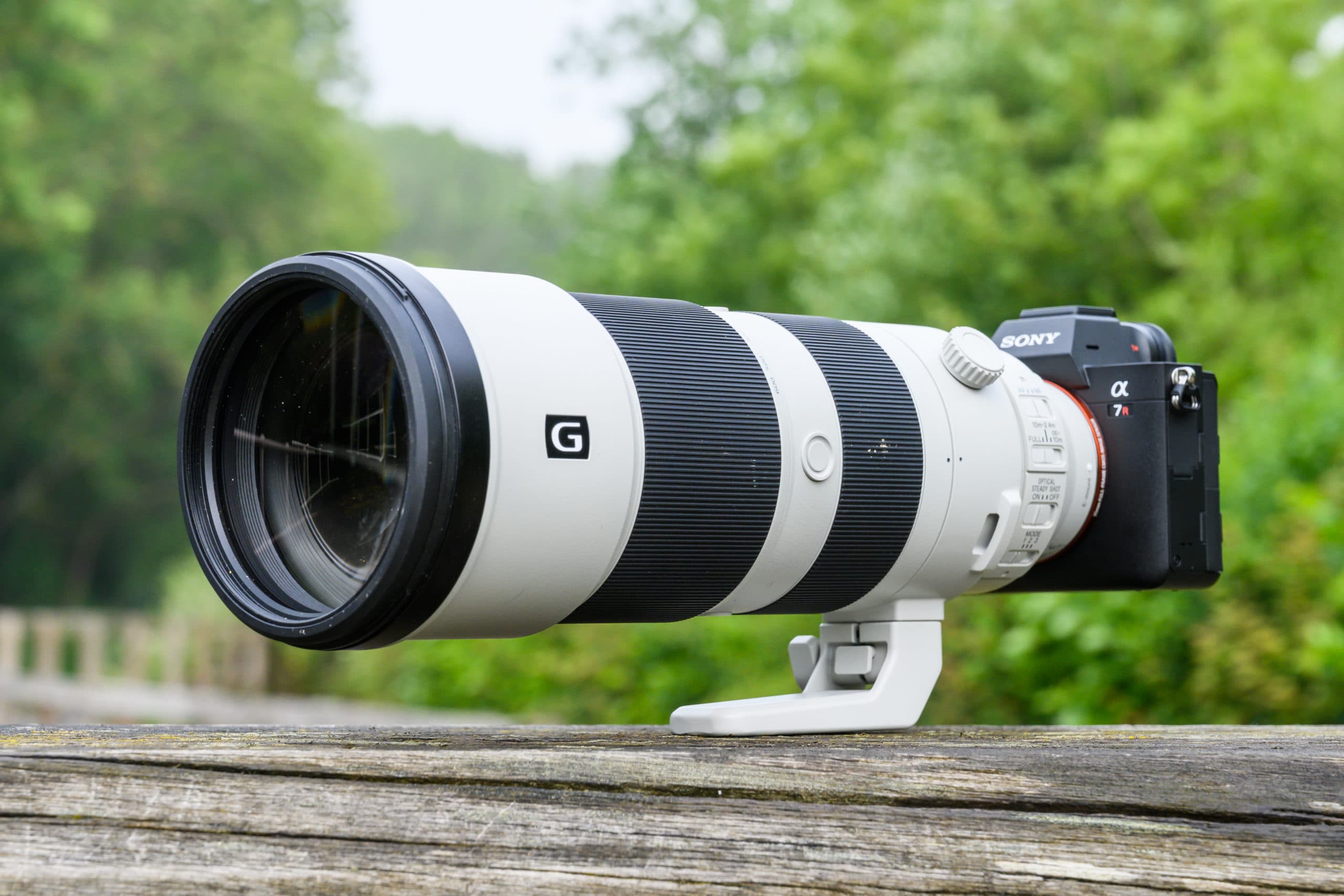 SONY FE 200-600mm F5.6-6.3 G OSS - レンズ(ズーム)