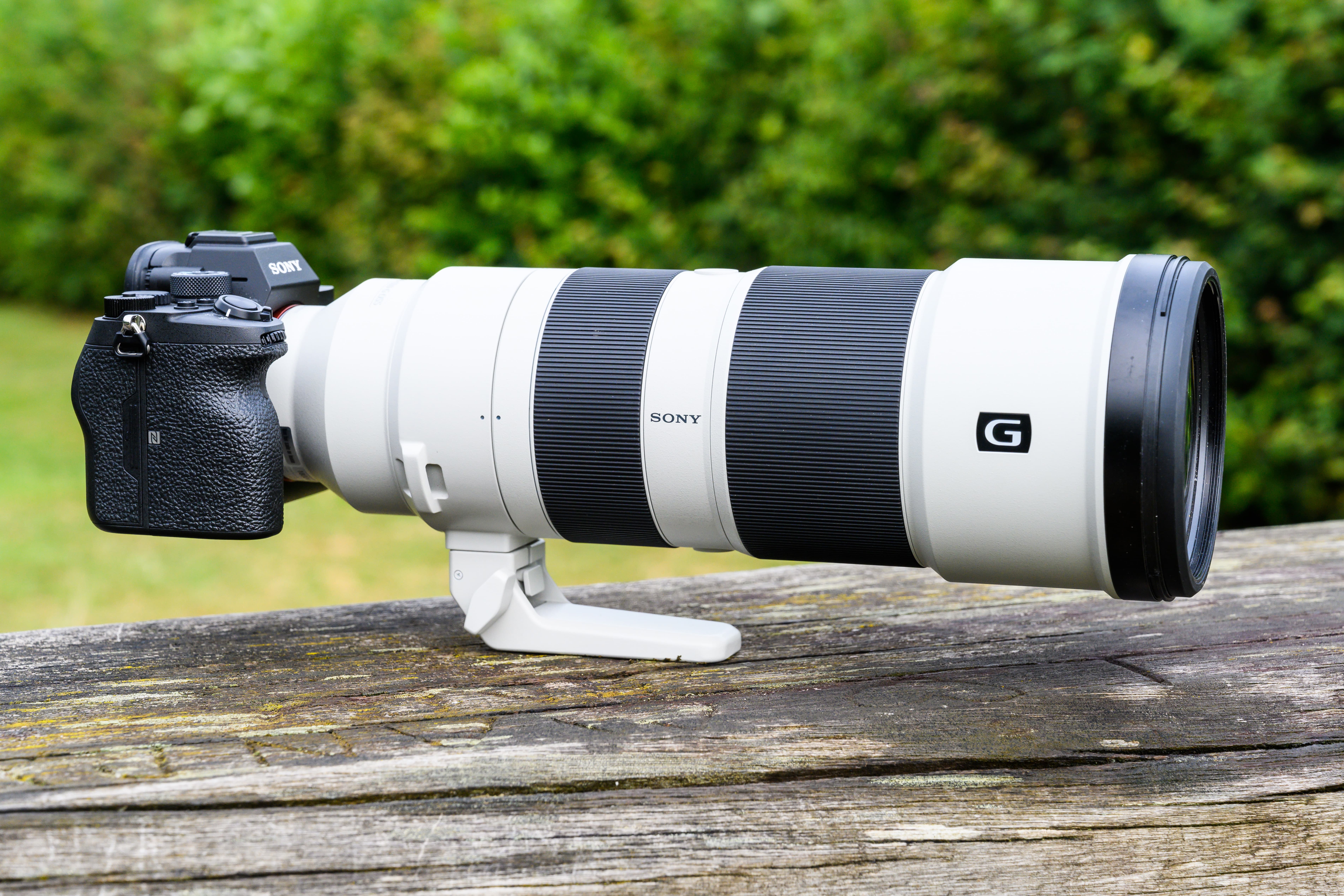 Superior Performance of the Sony 200-600mm F5.6-6.3 G OSS Super-Telephoto  Zoom Lens