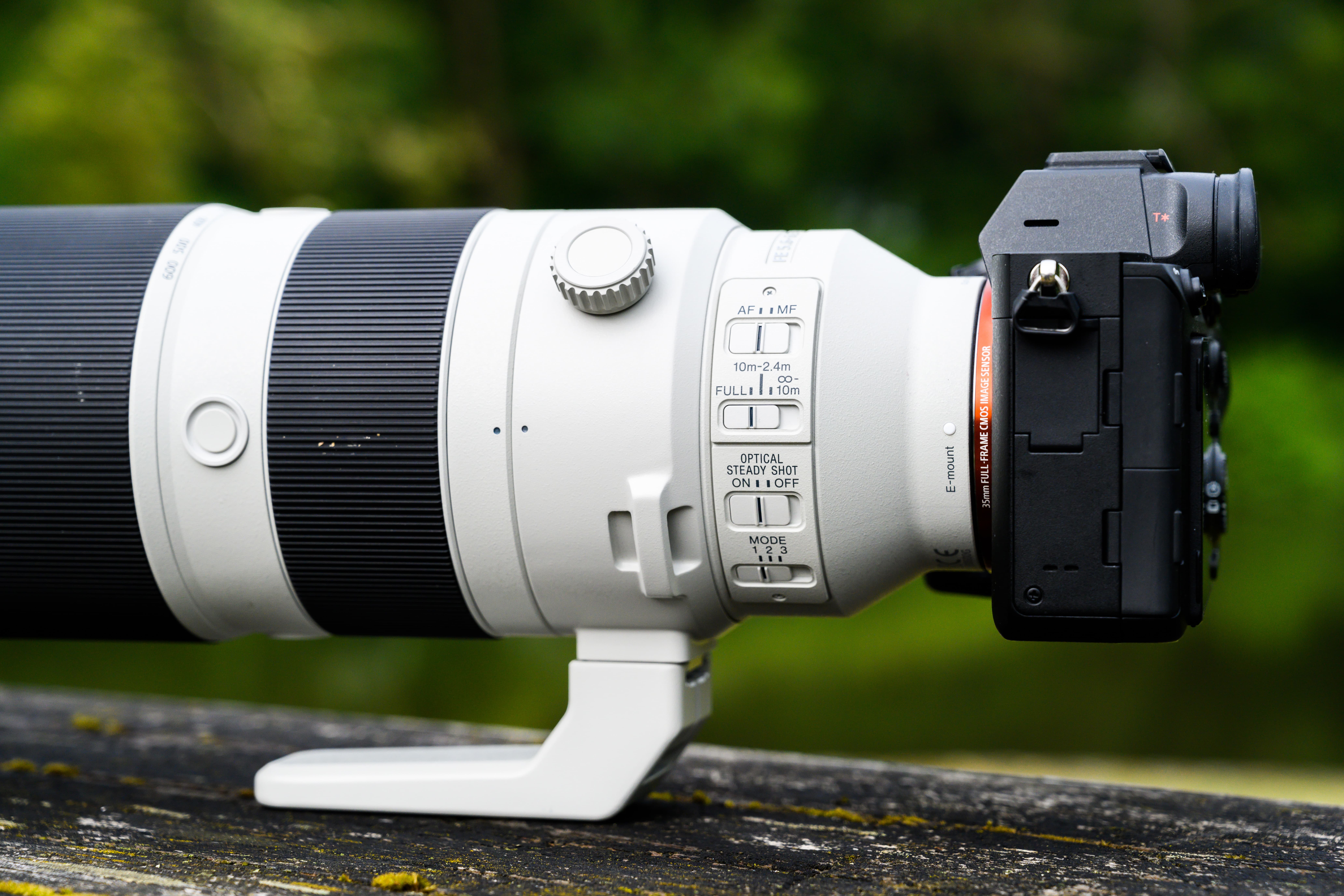 Sony FE 200-600mm F5.6-6.3 G OSS Field Test - Amateur Photographer