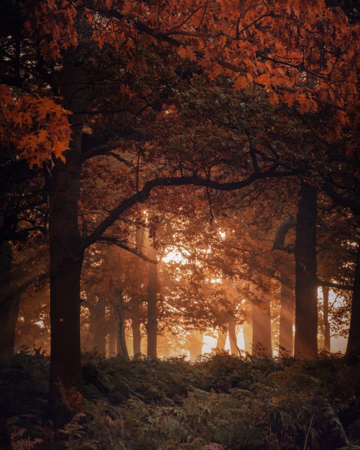 autumn landscape photo liam pearson