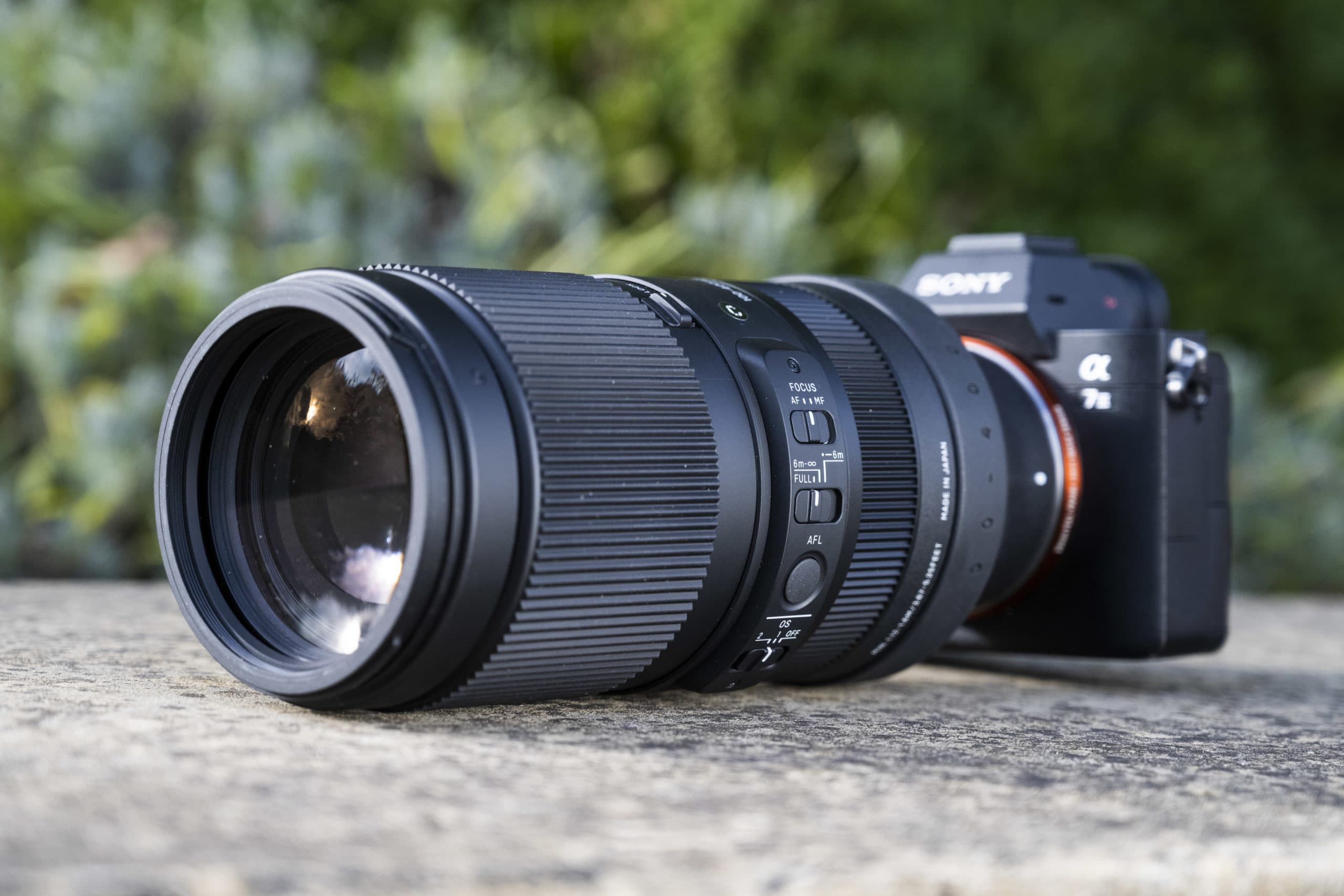 Sigma 100-400mm F5-6.3 DG DN OS Contemporary review - Amateur