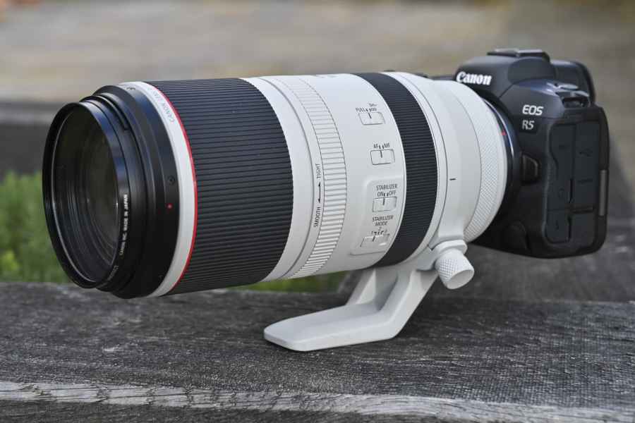 Entertainment Boos Grijpen Canon RF 100-500mm F4.5-7.1 L IS USM review - Amateur Photographer