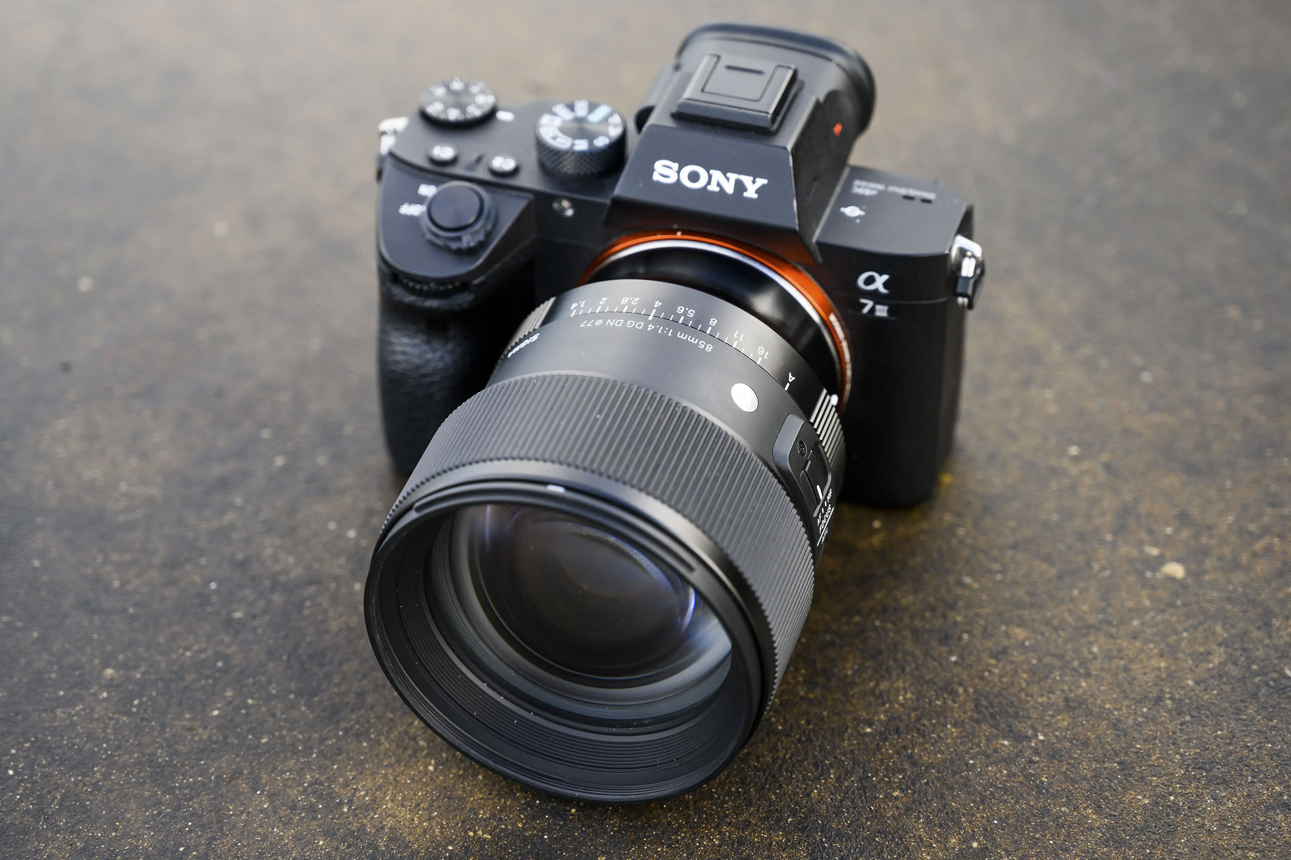 Sigma 85mm F1.4 DG DN Art Review - Amateur Photographer