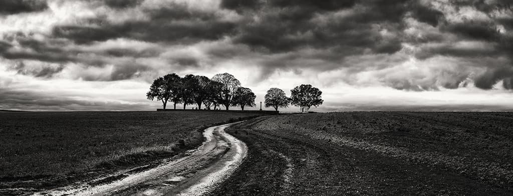 Black and white shot of a bendy dirt track running through a countryside field