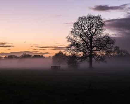Nikon Z7 II Sample Image – landscape with tree silhouette