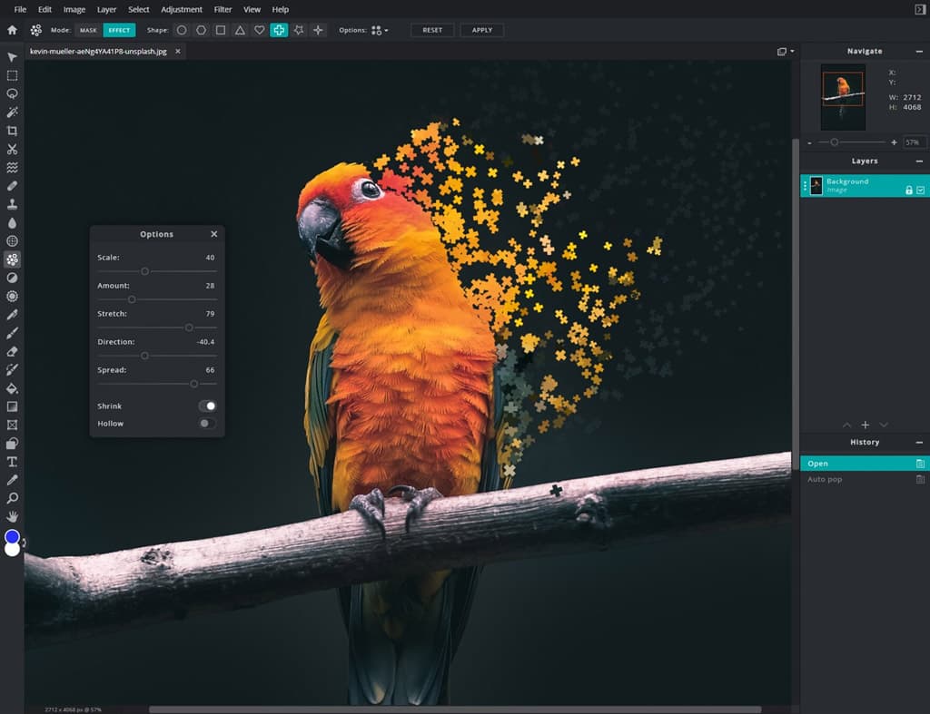 Online PhotoShop - Free Web-based Photo Editor (No Ads!)