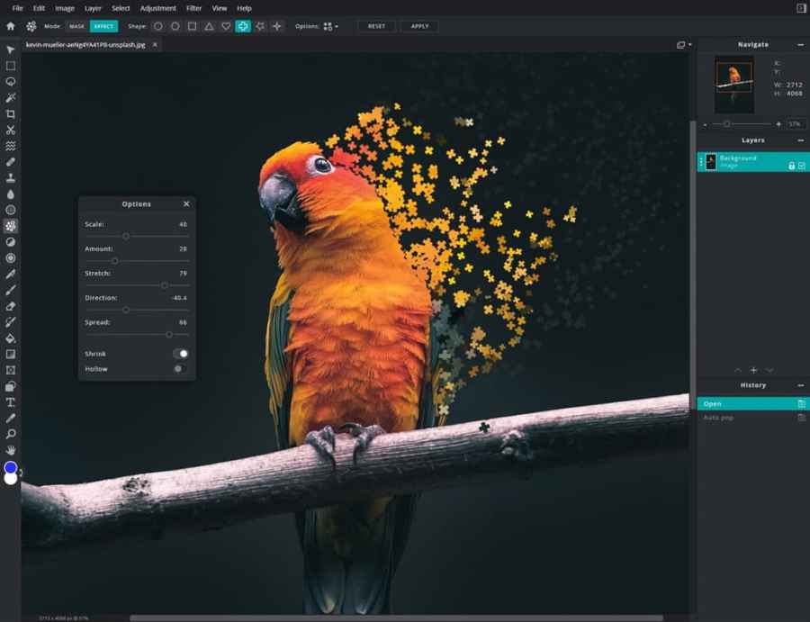 Best photo editing software in 2023 - Amateur Photographer