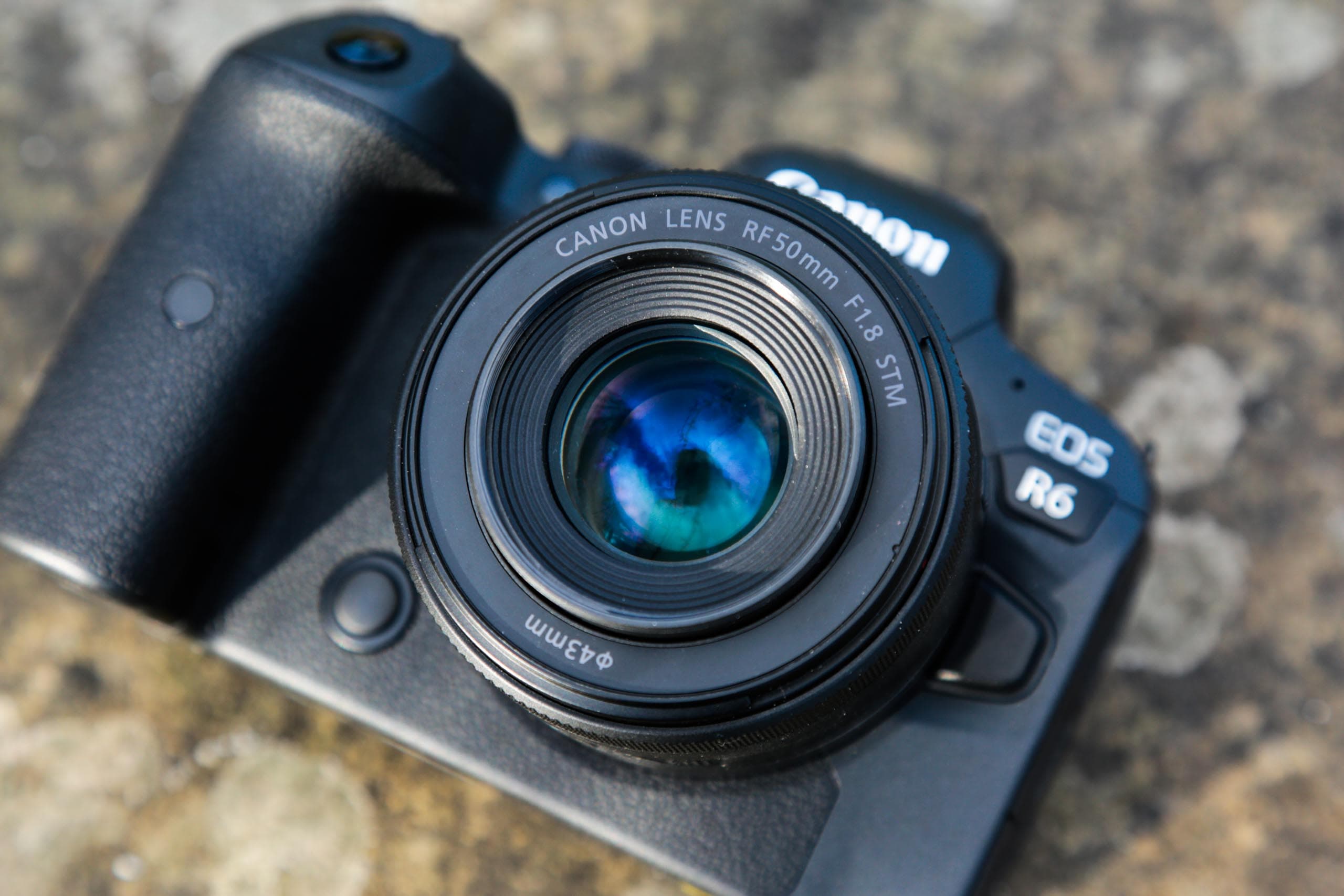 Canon RF 50mm F1.8 STM Review