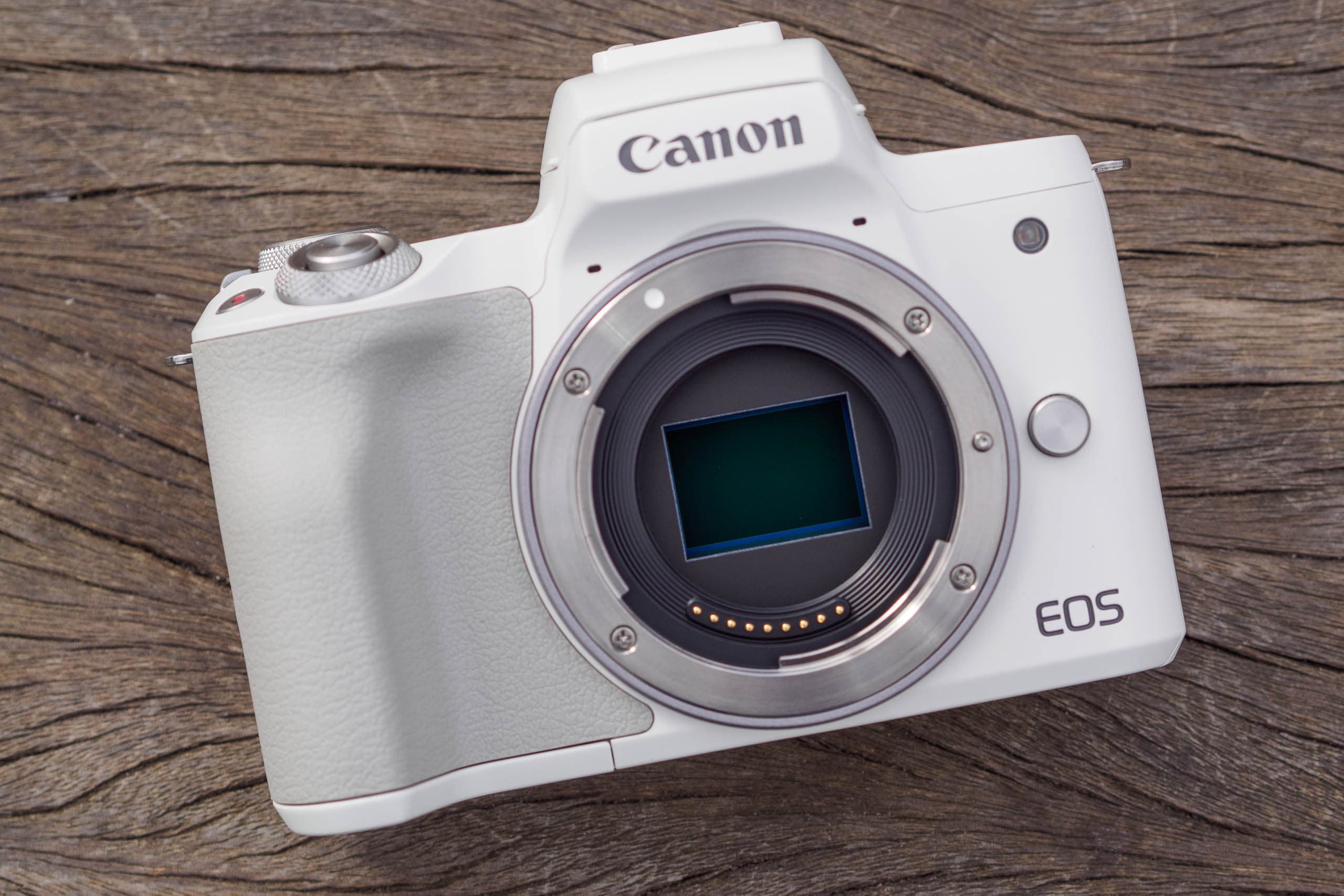 Canon EOS M50 Mark II Review 