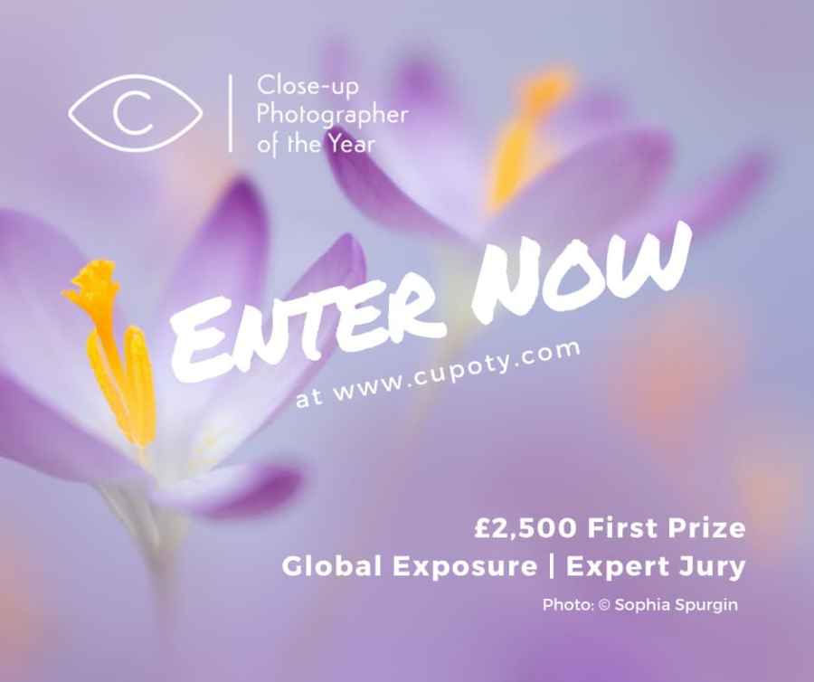 Poster advertising for entries for the close up photographer of the year