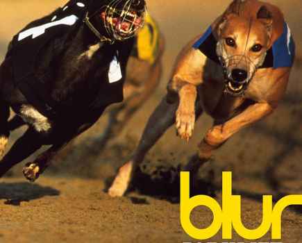 Two racing greyhounds in muzzles running with blur logo