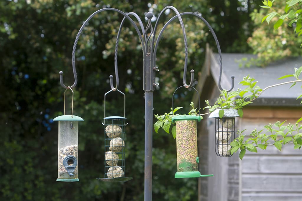 A bird feeding station