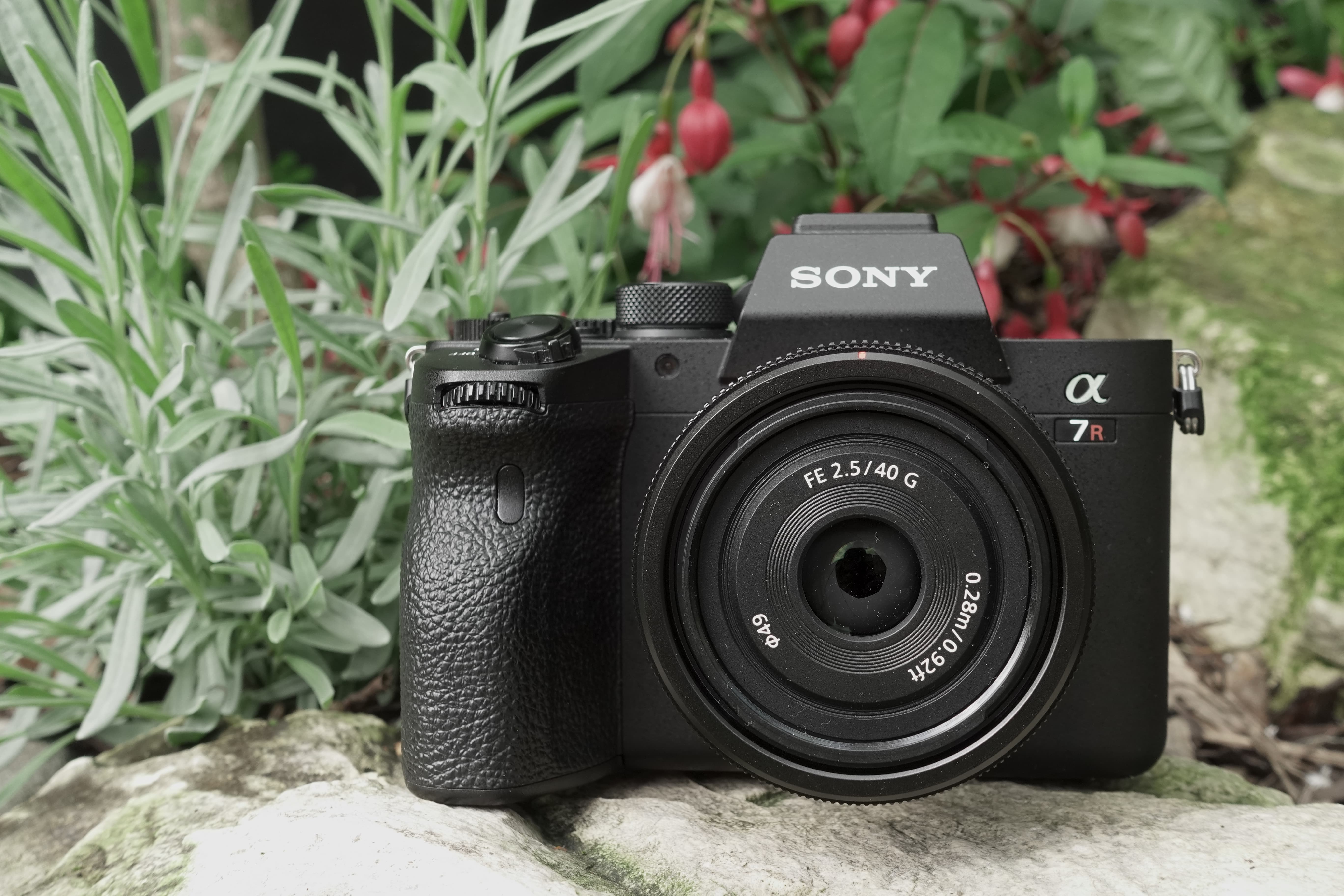 Sony FE 35mm 1.8 or Sony 40mm f2.5 G?: Sony Alpha Full Frame E