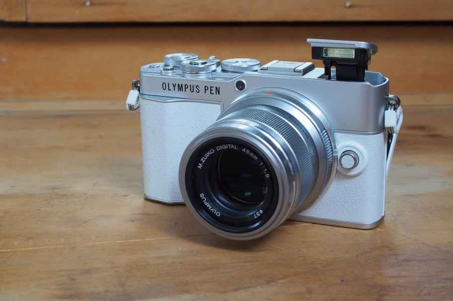 Olympus PEN E-P7 with pop-up flash and 45mm lens