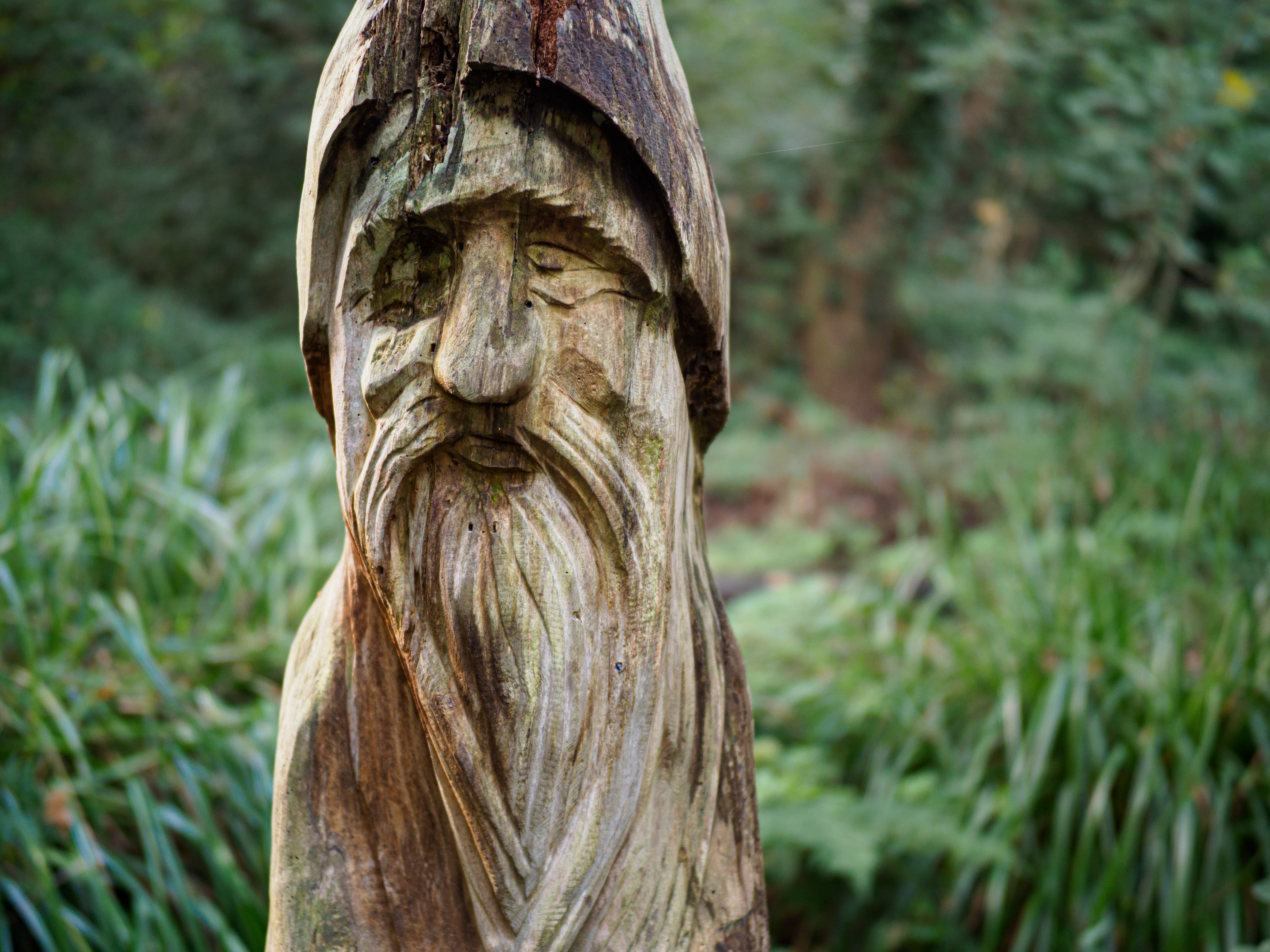 Olympus 25mm F1.2 Sample photo, Wooden face, 1/50s, f/1.2, ISO200, E-M1 II