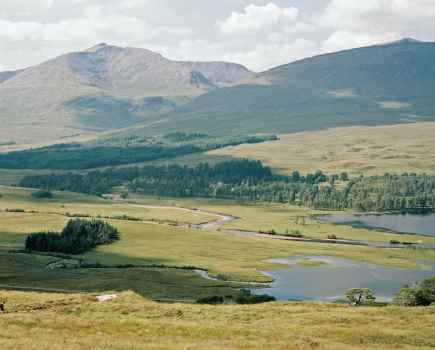 Landscape shot of the green West Highlands
