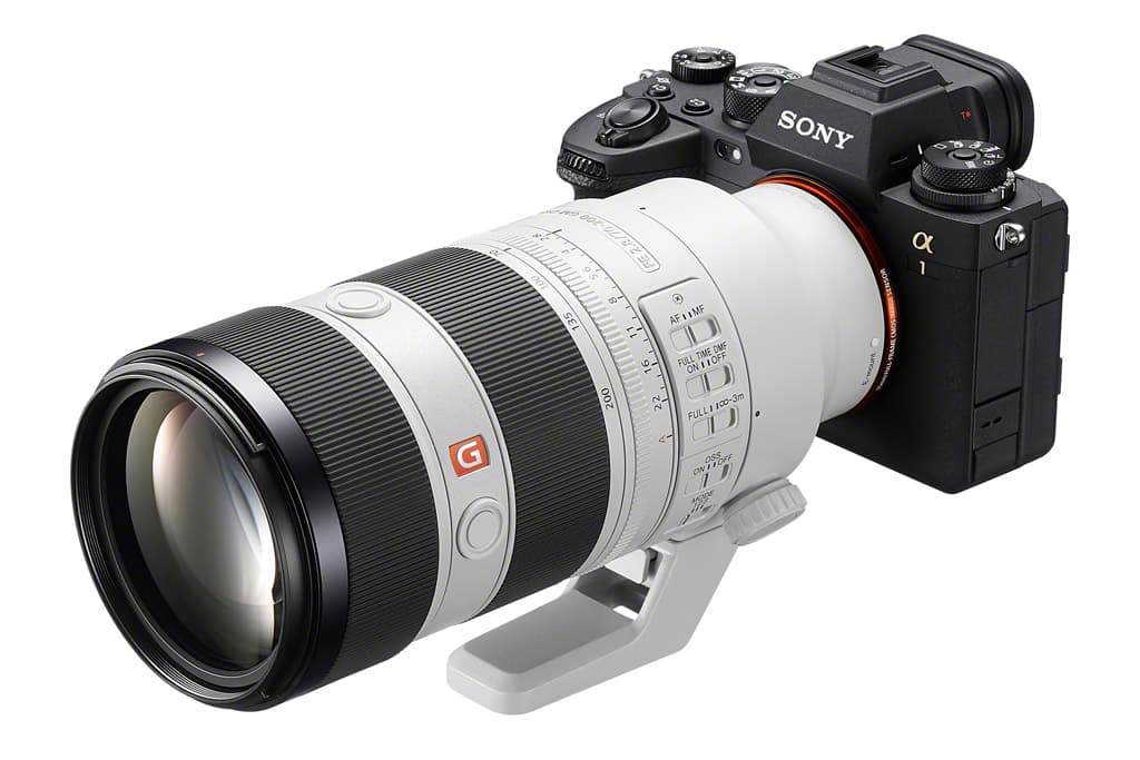 Sony FE 70-200mm f/2.8 GM OSS Lens - Snapshot Kenya