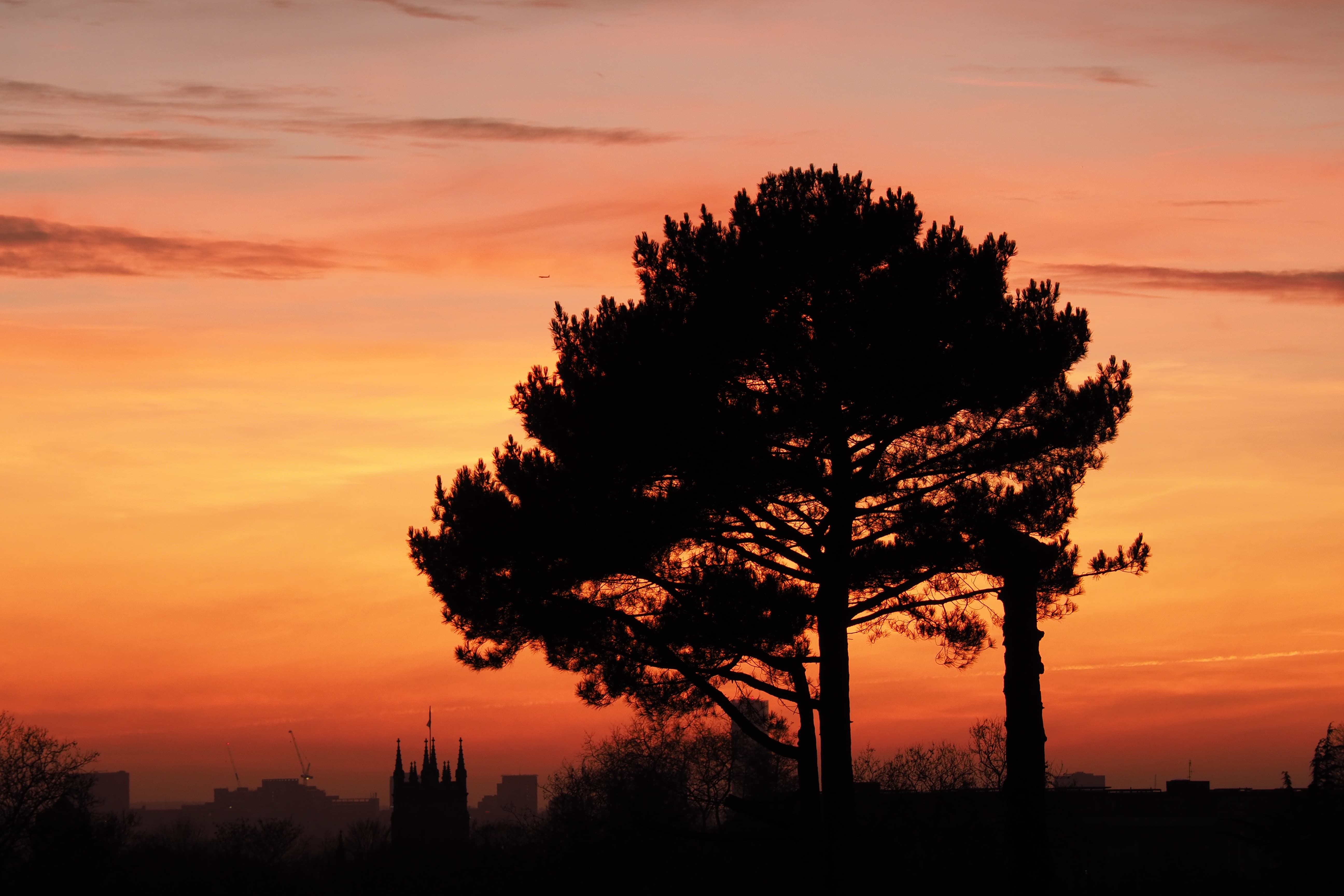 12-100mm f4 IS Pro sample photo, orange sunset with silhouette of a tree and city's skyline in the background, 1/50s, f/5.6, ISO200, 100mm, E-M1 II