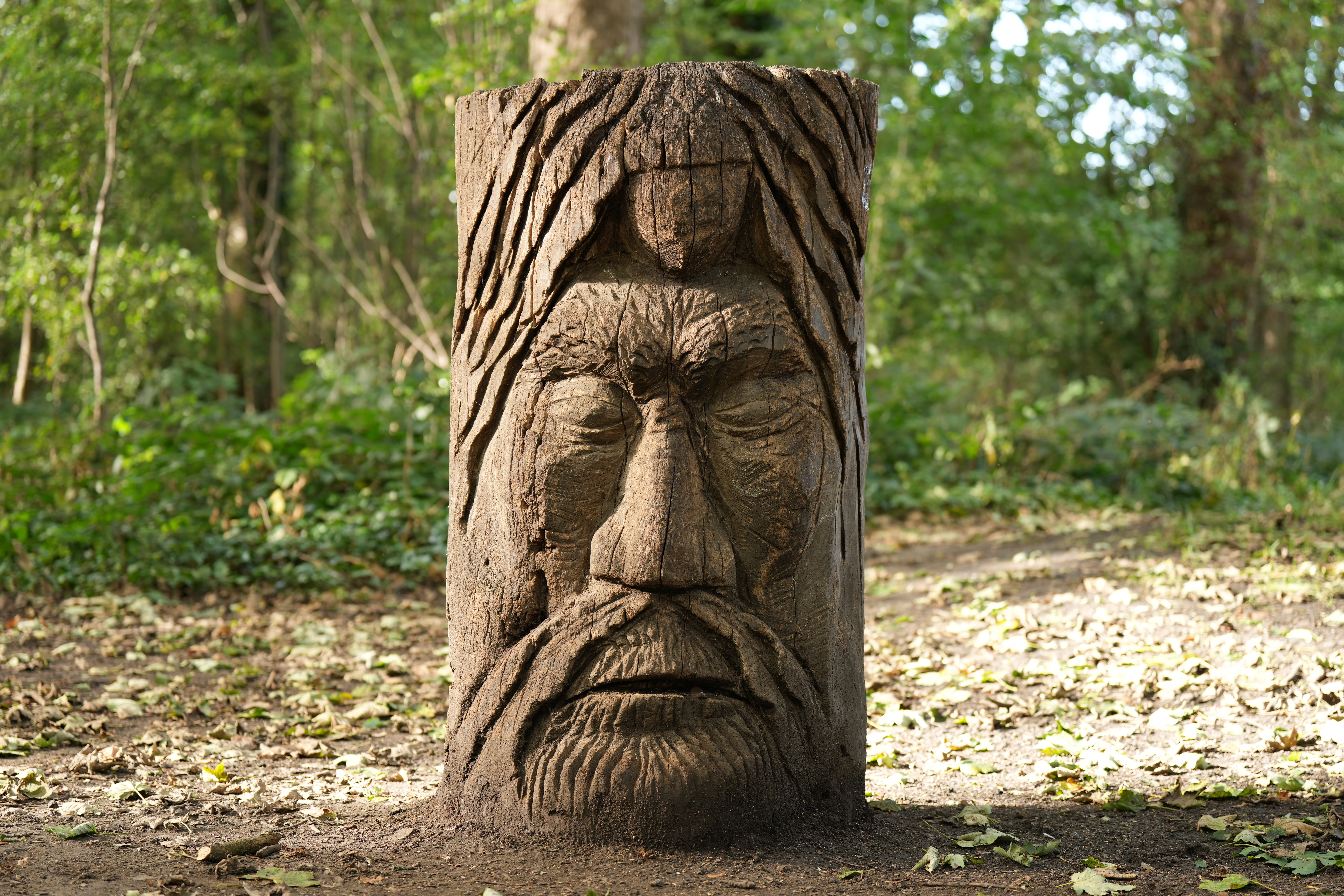 Wooden head, 1/80s, f/2.8, ISO250, Sony 70-200mm at 70mm, with Sony A1